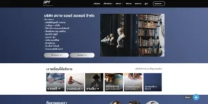 Spylawyers - portfolio